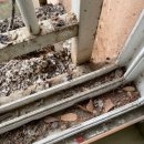 제방안길 이미지