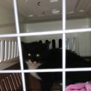 만덕3로 이미지