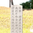 김지남 비갈 및 묘 | 김지남 묘