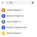 SnP 500 다들 어디에.투자했어? 이미지