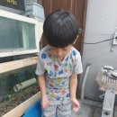 반도낚시마트