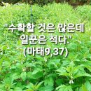 ＜연중 제14주간 화요일＞(7.9) 이미지