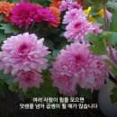 믿음 - 안산시 단원구 | 믿음