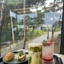 시청 소나무 | [당진카페] 카페로우 | 소나무숲 속 힐링 베이커리