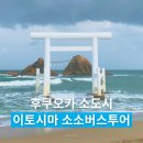 후쿠오카 이토시마 소소버스투어 내돈내산 후기