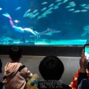 의흥초교석산분교 이미지