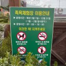 소학레저개발 | 속초 가볼 만한 곳_ 척산 족욕공원
