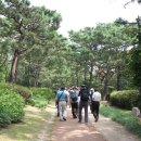 팔도화학 이미지
