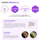 보톡스헤어 이미지