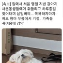 오늘도소보로