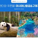 팬더호텔 이미지