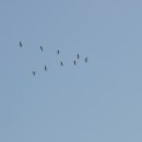 순천만여행 이미지