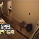 내가 만든 쿠키 이미지