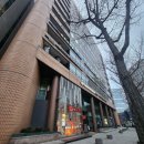 강남 다나약국 | 모발이식 수술 당일 및 1일차 찐 후기(다나성형외과의원)