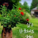 망설이던 아내의 고백