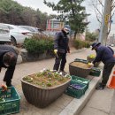 와동행정복지센터 이미지