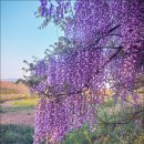 두월노을마을 이미지