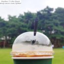 청주 솔밭공원 카페, 카페솔솔 : SK하이닉스에서 후원하는 실버카페