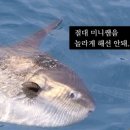 아이덴티(identi) 이미지