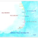 19.03.16 부산 이기대 길과 해파랑길