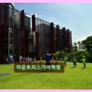 마운트피스가어학원