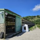 순천만자연드림목장 이미지