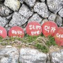금능낙원