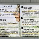비파해물칼국수 이미지