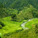 계곡이 있는 풍경 이미지