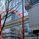 닥터손치과보철과의원 이미지