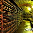 ㈜영동유통 이미지