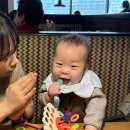 석인농장 이미지