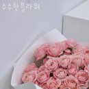 수수한플라워 이미지