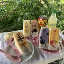 젠플레져 | 홍루이젠 신제품 “요거베리 샌드위치, 요거피치 샌드위치“ 구매 후기