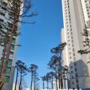 고고푸르지오부동산공인중개사사무소 이미지