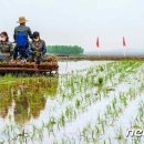 삼봉농장 이미지