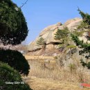 탑석정형외과의원 이미지