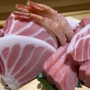 설화참치 이미지