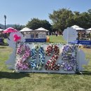 인도문화제 | 2025 제52회 신라문화제 축제 다녀온 후기