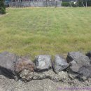 제주도성산공인중개사사무소 이미지