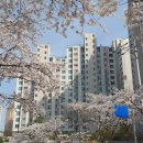 꽃길찬방 이미지