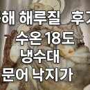 동해시-18 | 동해 해루질 후기 – 18도 수온, 여전히 냉수대 속에서 만난 문어와 낙지