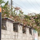 학장천 강변갤러리 이미지