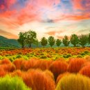 연천군 관광안내소 이미지