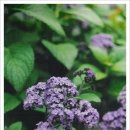 휴식 Ⅱ 이미지