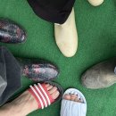 동기농장 이미지