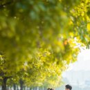 명목보건진료소 이미지