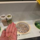 돈워리 여행영어 (1) | [일본_나고야] 기린 이치방 맥주공장 견학 :: 예약/교통편/시음후기/기념품후기