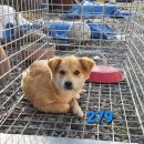 경서대로 이미지