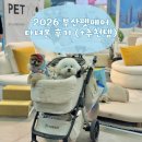 포미슈퍼 | 2026 부산 케이펫페어 다녀온 후기 추천템 및 부스이벤트 소개